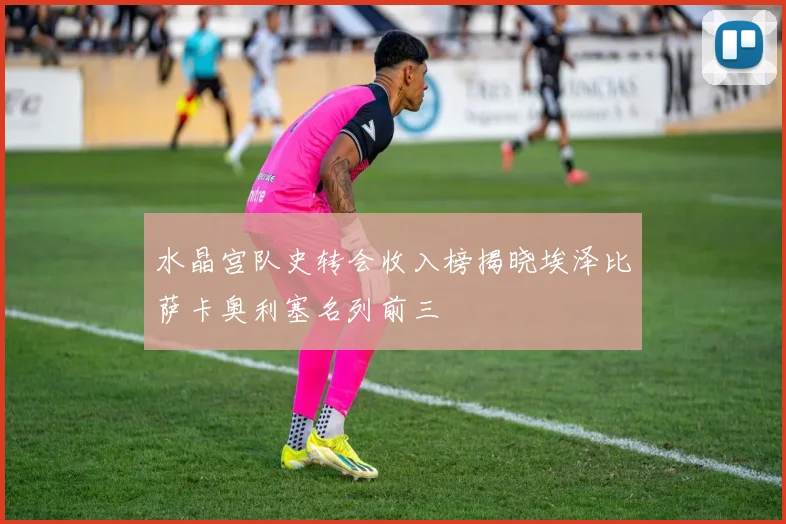 水晶宫队史转会收入榜揭晓埃泽比萨卡奥利塞名列前三